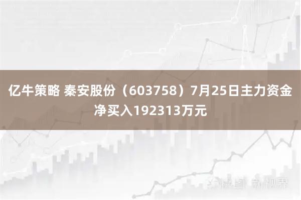 亿牛策略 秦安股份（603758）7月25日主力资金净买入192313万元