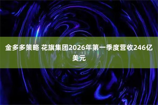 金多多策略 花旗集团2026年第一季度营收246亿美元