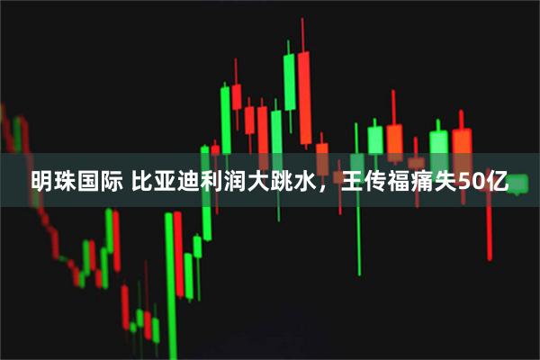 明珠国际 比亚迪利润大跳水,王传福痛失50亿