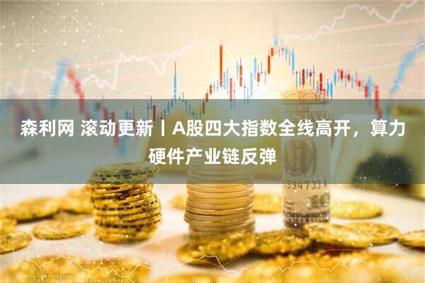 森利网 滚动更新丨A股四大指数全线高开,算力硬件产业链反弹