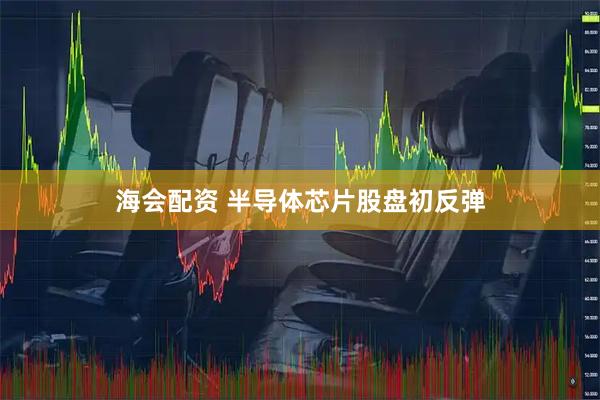 海会配资 半导体芯片股盘初反弹