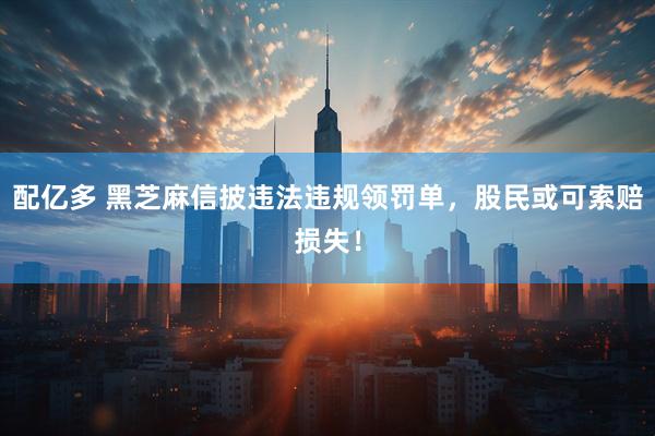 配亿多 黑芝麻信披违法违规领罚单，股民或可索赔损失！