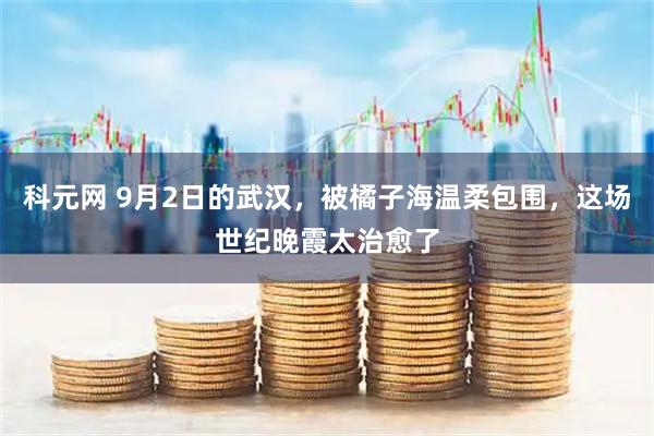 科元网 9月2日的武汉，被橘子海温柔包围，这场世纪晚霞太治愈了
